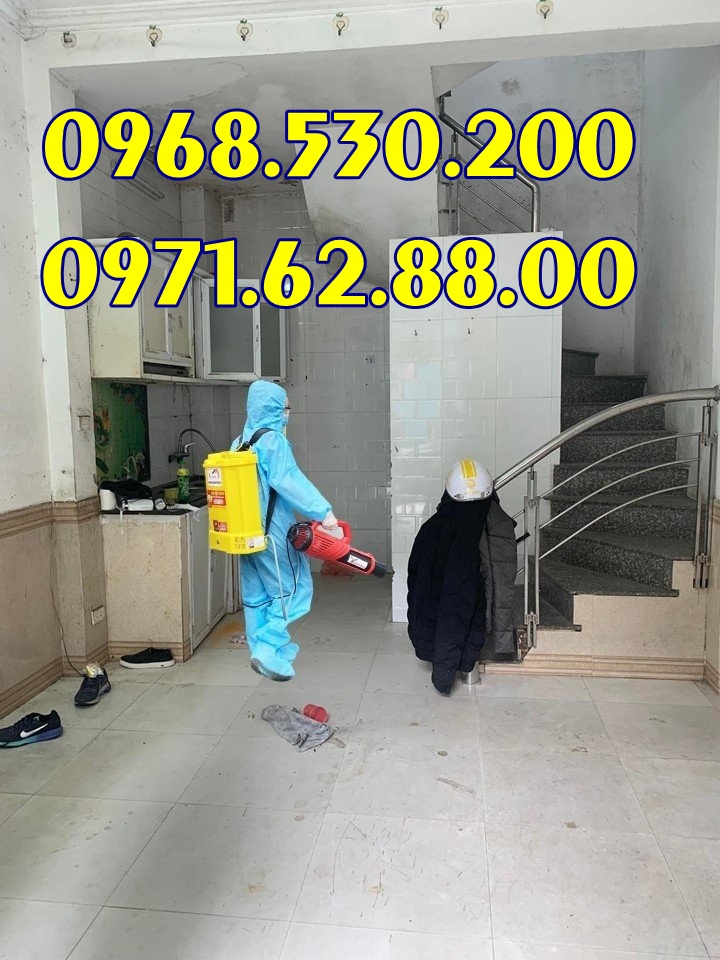 Nhà nhiều muỗi nên dùng loại máy phun thuốc nào tốt và hiệu quả