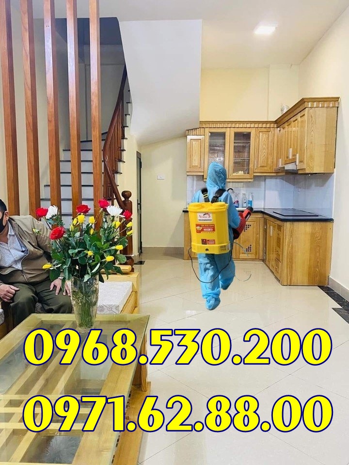 Nhà nhiều muỗi nên dùng loại máy phun thuốc nào tốt và hiệu quả