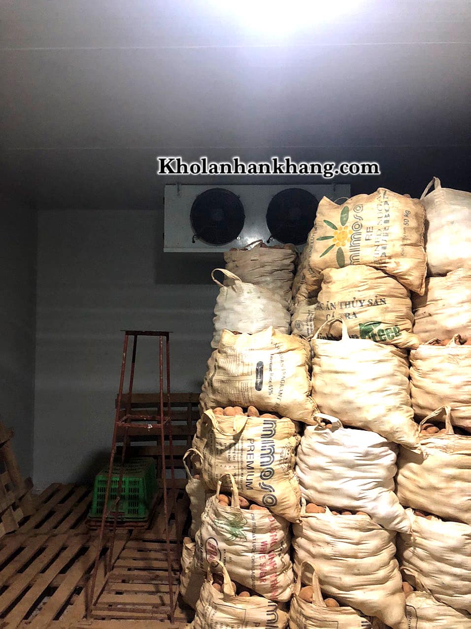 lắp đặt kho lạnh bảo quản khoai tây giống tại LÂM ĐỒNG
