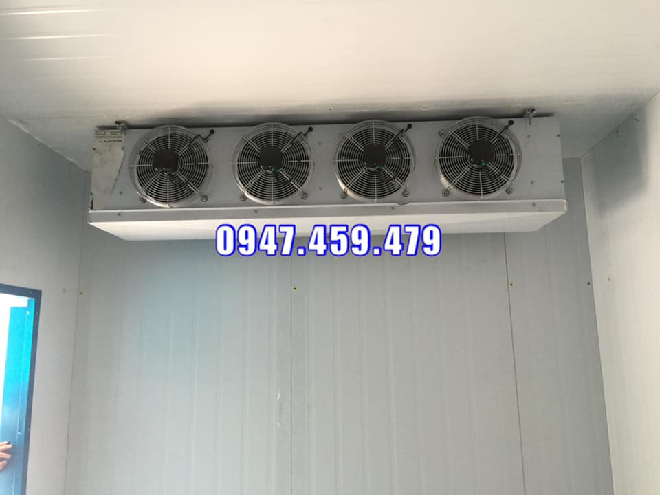 lắp đặt kho lạnh bảo quản bơ sau thu hoạch