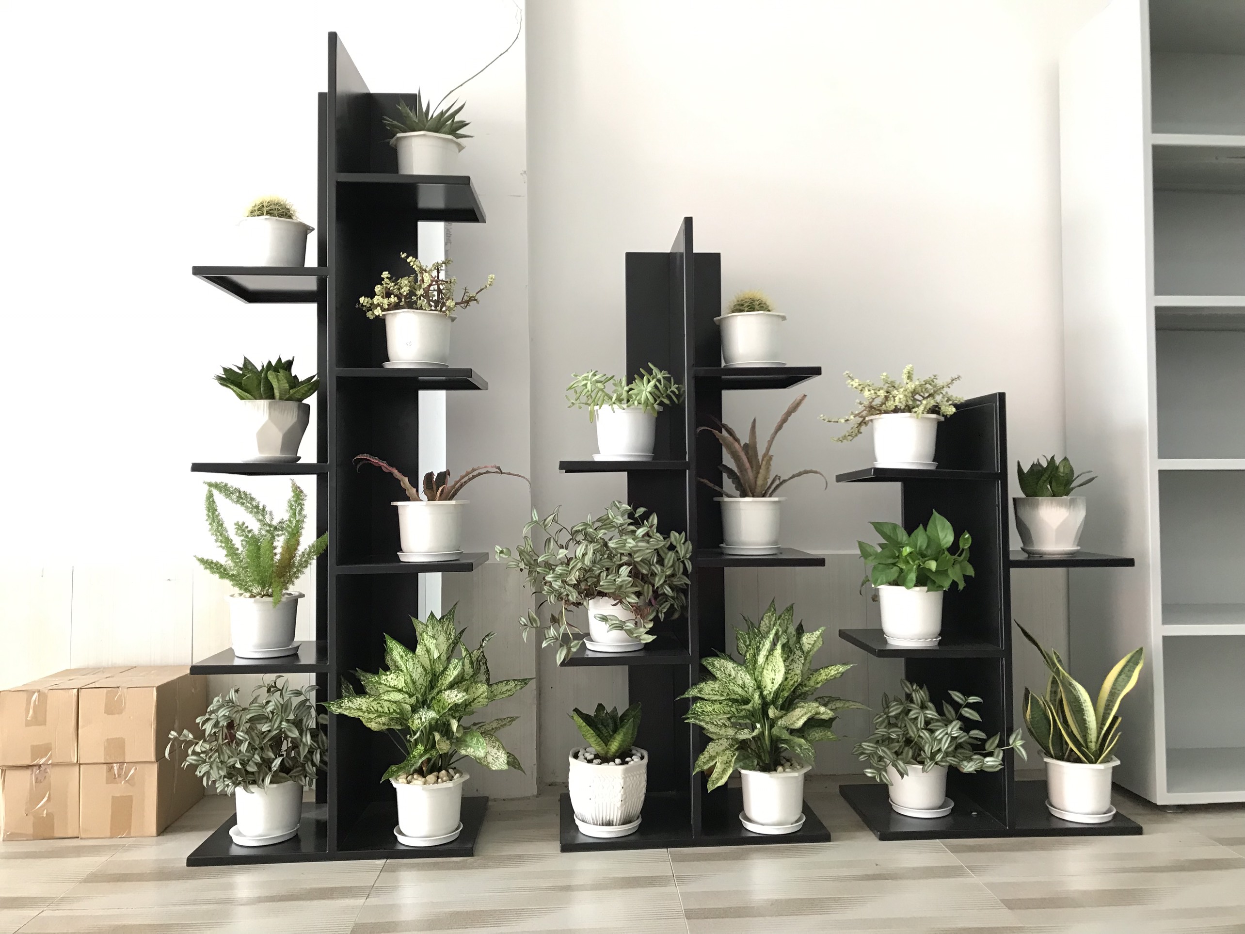 Kệ trưng bày cây cảnh cksg