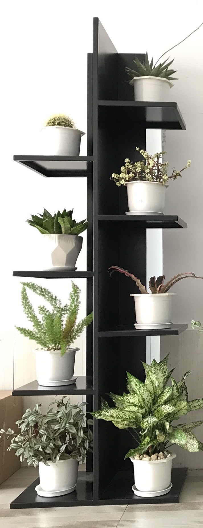 Kệ trưng bày cây cảnh cksg