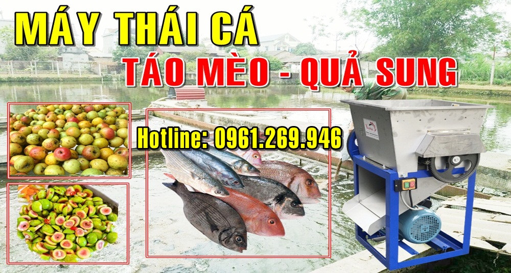 Máy cắt cá tươi 23 lưỡi buồng inox khung sắt động cơ điện 2.2kw