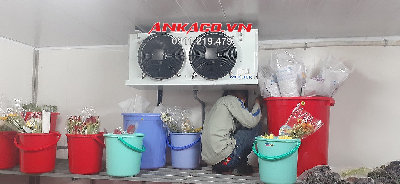 thi công sữa chữa kho lạnh bảo quản hoa tươi giá tốt