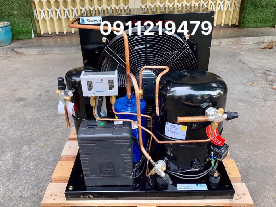 nhập khẩu nguyên cụm máy nén Tecumseh 2hp EPL2480Z