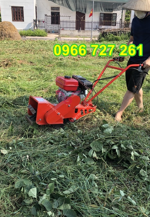 máy xới đất , vun gốc ngô, lne luống sạc cỏ mini