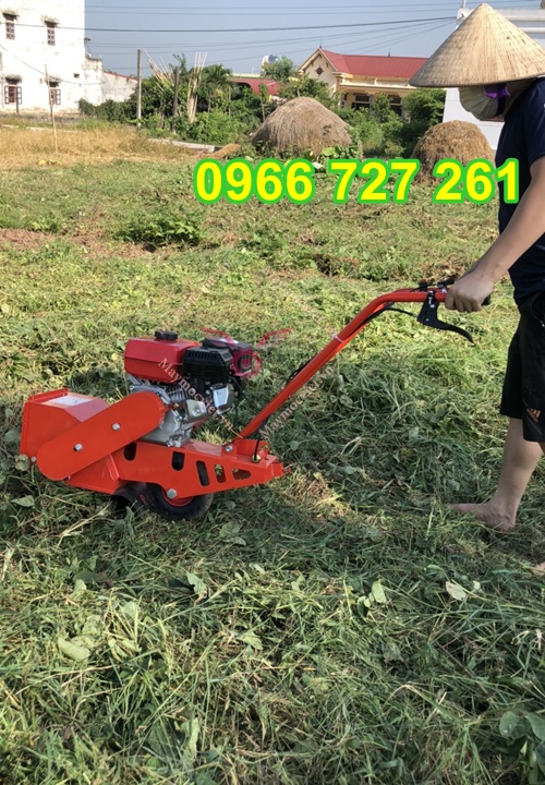 máy xới đất , vun gốc ngô, lne luống sạc cỏ mini