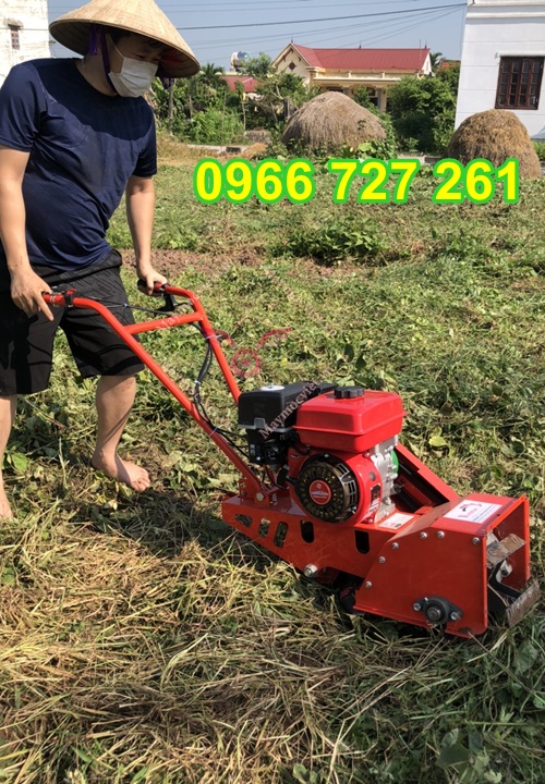 máy xới đất , vun gốc ngô, lne luống sạc cỏ mini