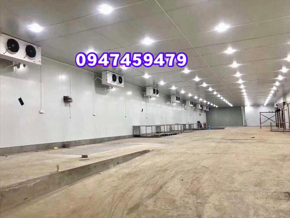 thi công sửa chữa kho lạnh bảo quản sửa tươi cho nhà máy