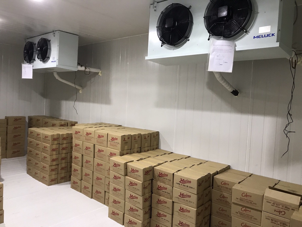 thi công kho đông lạnh bảo quản kem tại TP.HCM