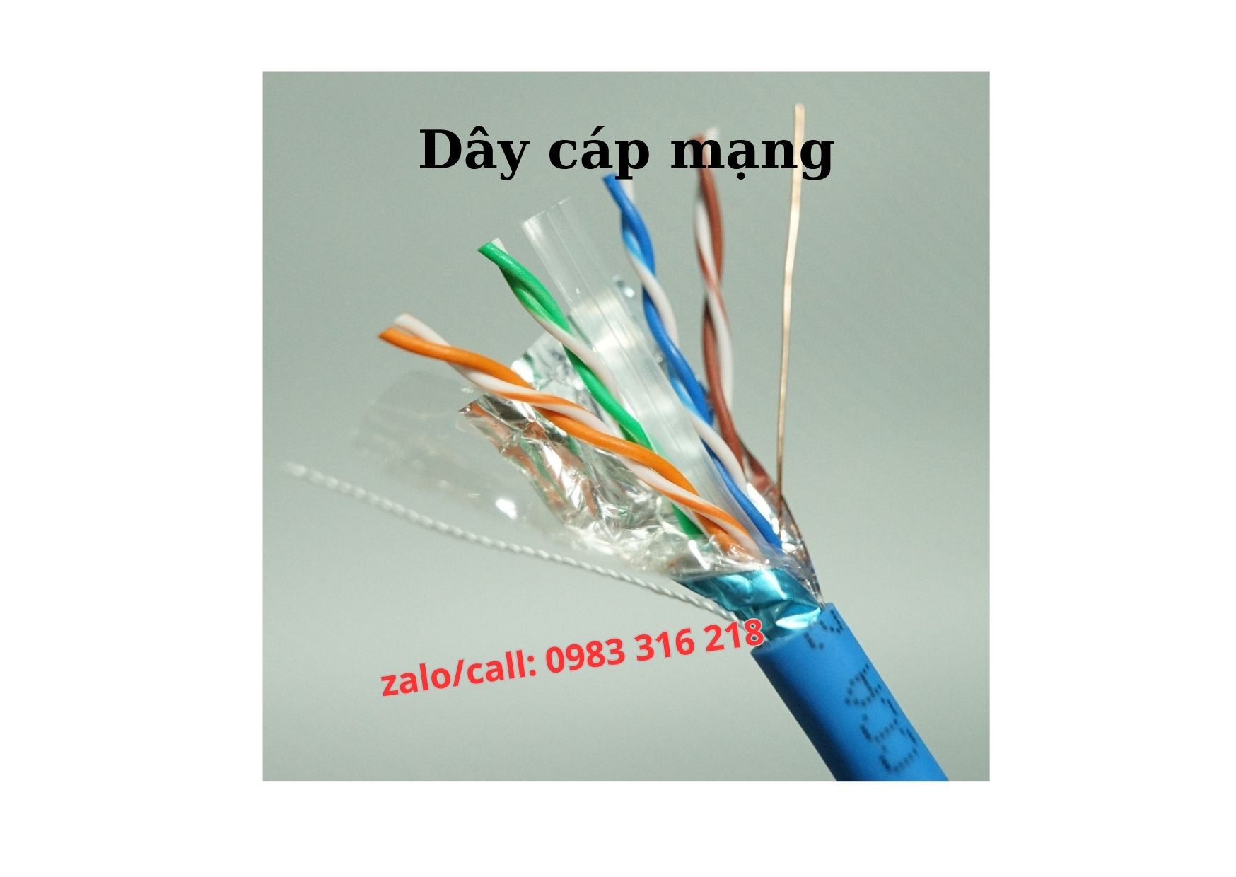 Cáp mạng UTP Cat5e, Cat6 Altekkabel chíng hãng