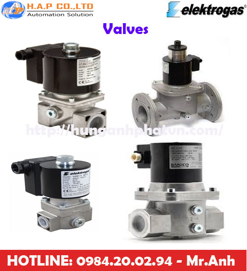 van giảm áp elektrogas tại vệt nam, van elektrogas