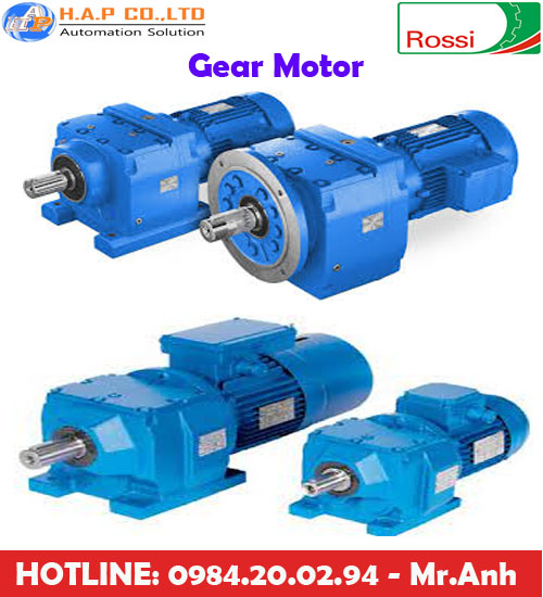 nhà phân phối động co Rossi tại việt nam, động cơ Rossi