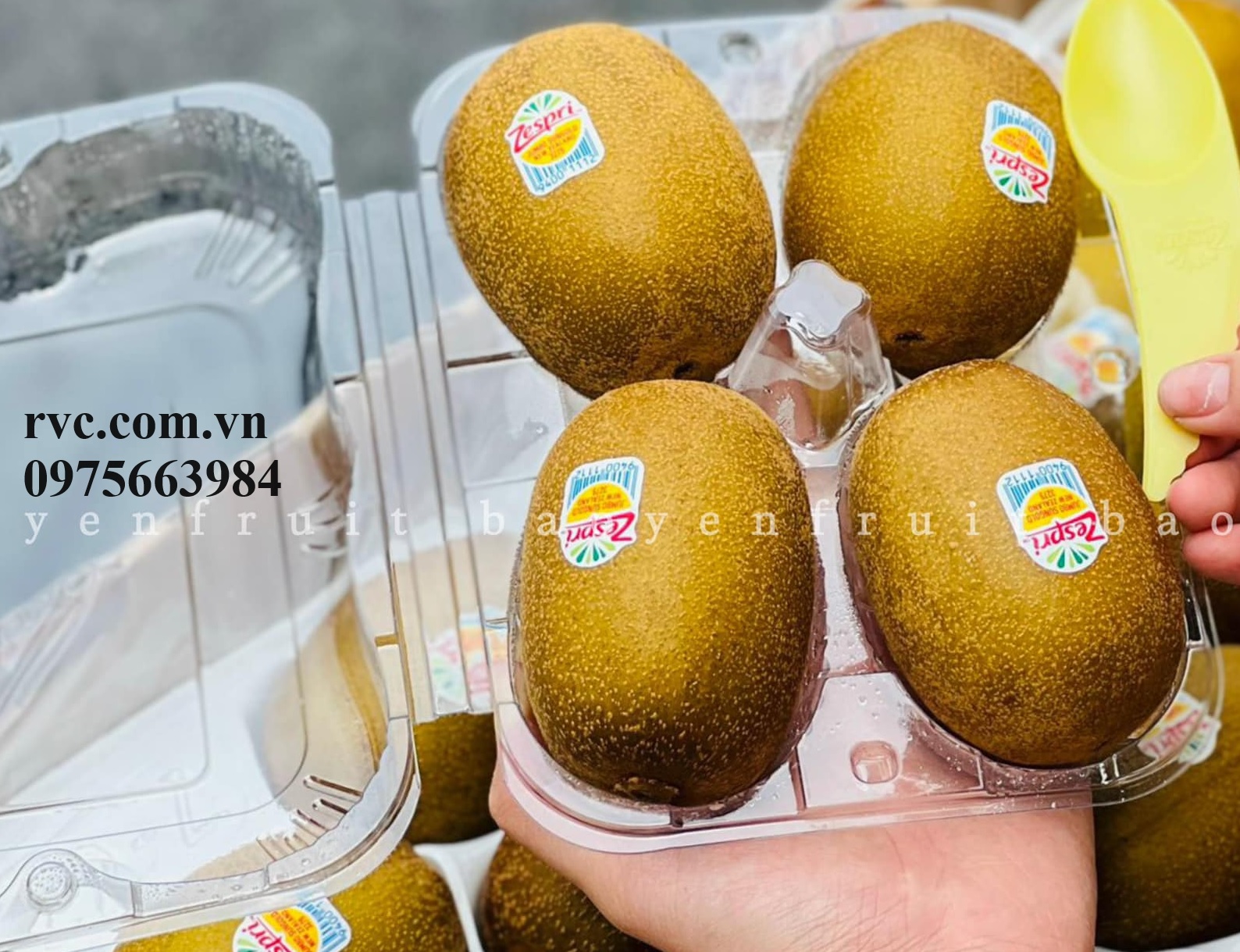 Hộp nhựa đựng 4 trái kiwi và những công dụng tuyệt vời.