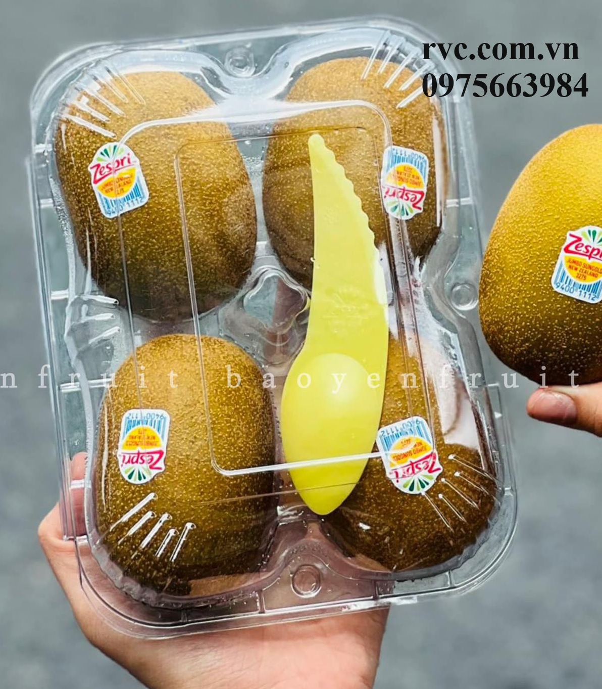 Hộp nhựa đựng 4 trái kiwi và những công dụng tuyệt vời.