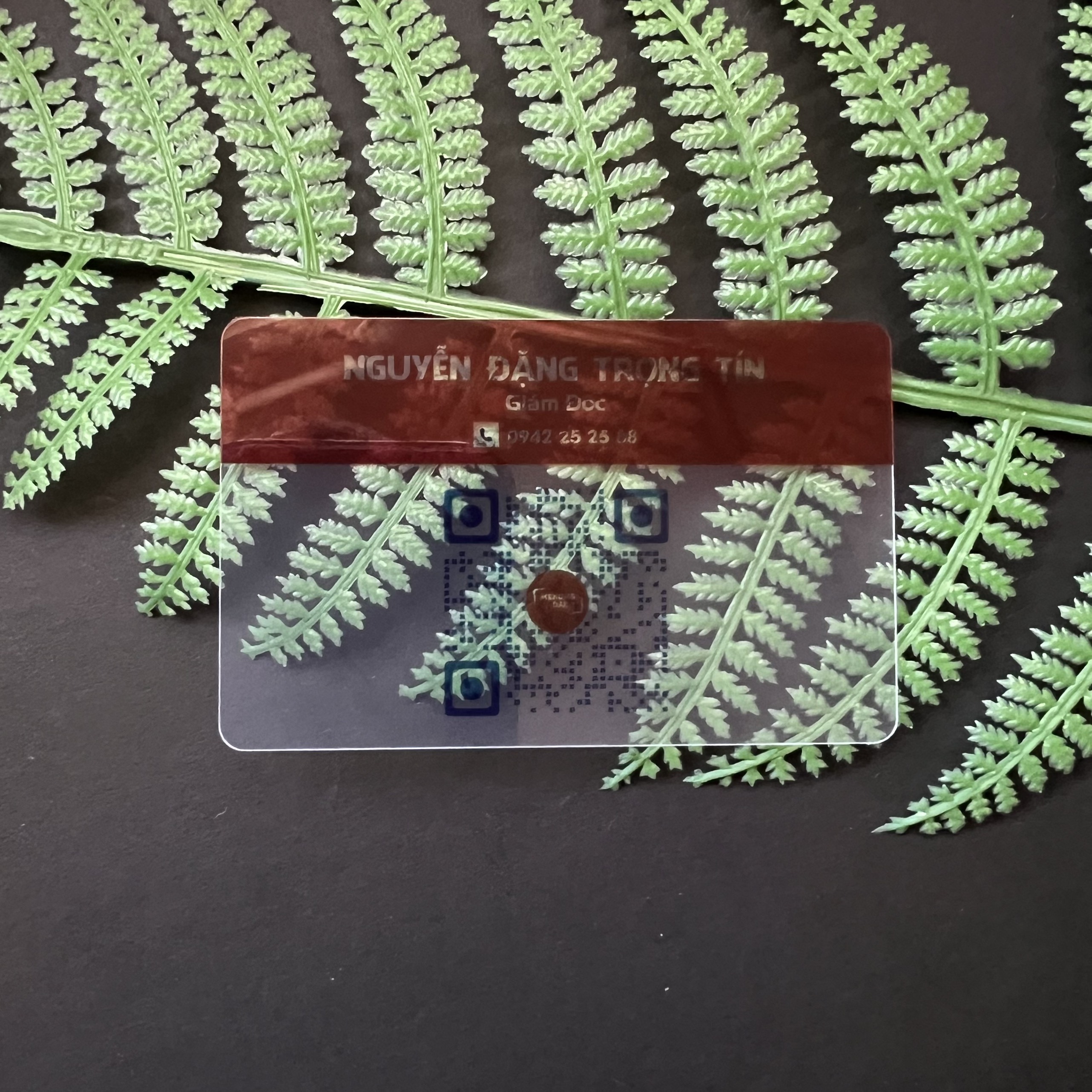 CARD TRONG SUỐT- MANG ĐÊN SỰ SANG TRỌNG DÀNH CHO BẠN