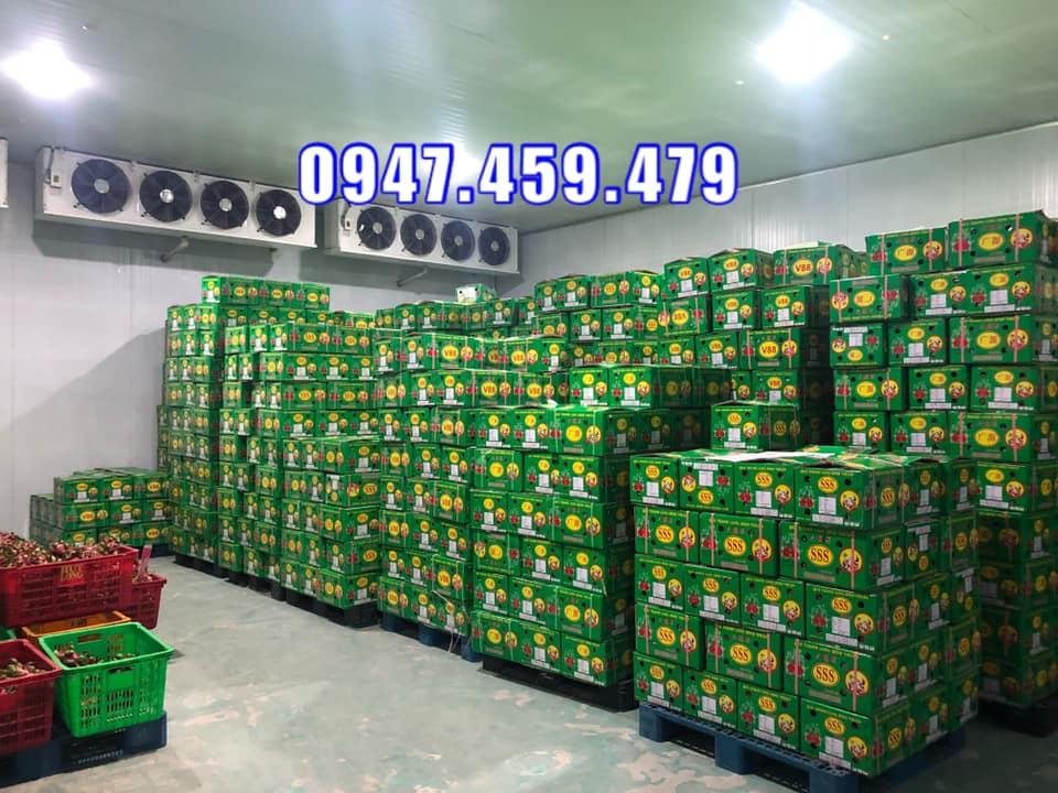 kho lạnh bảo quản thanh long, bảo hành 24 tháng