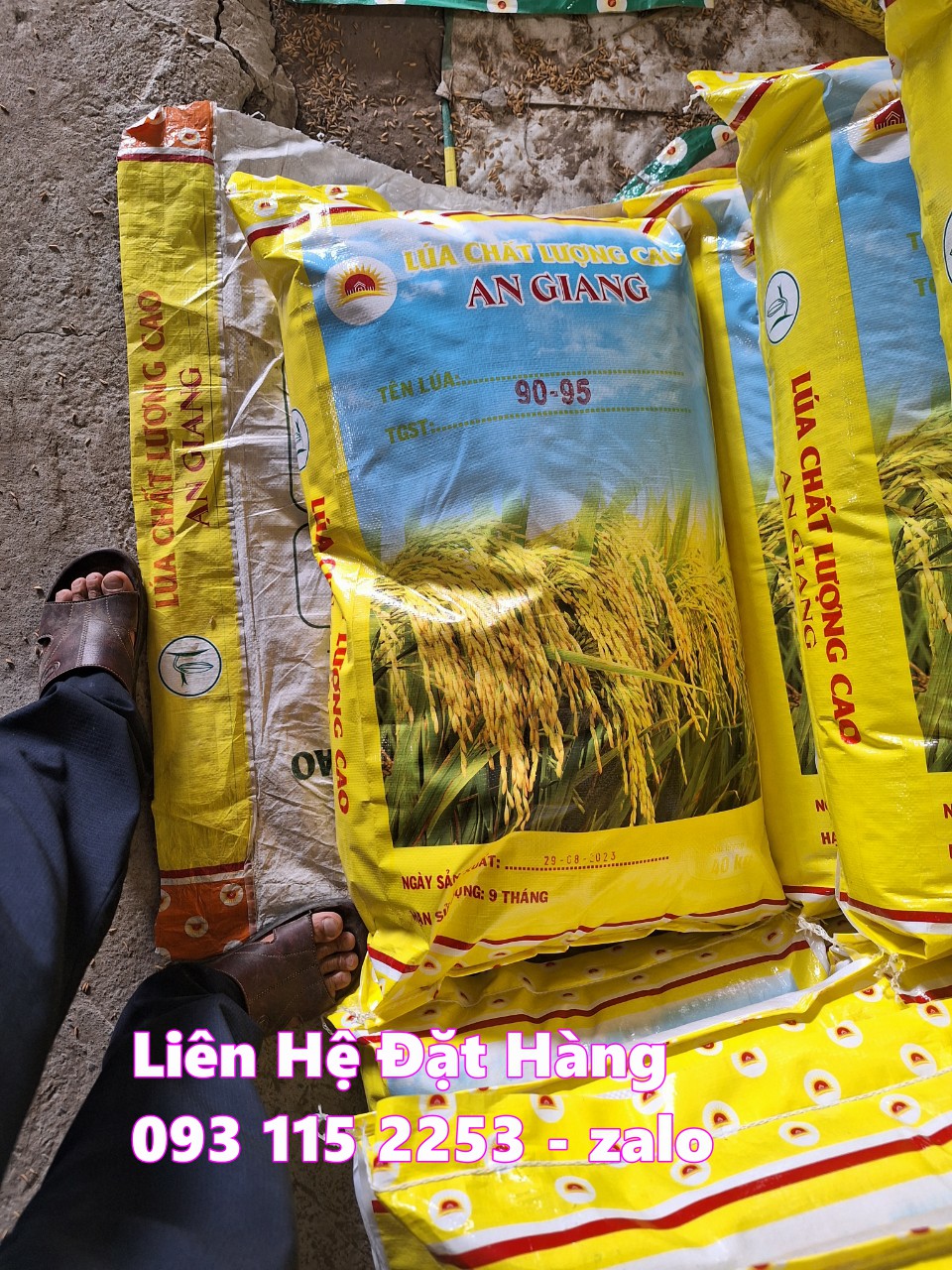 Bao lúa giống 40kg có sẵn nilong giá rẽ tại xưởng