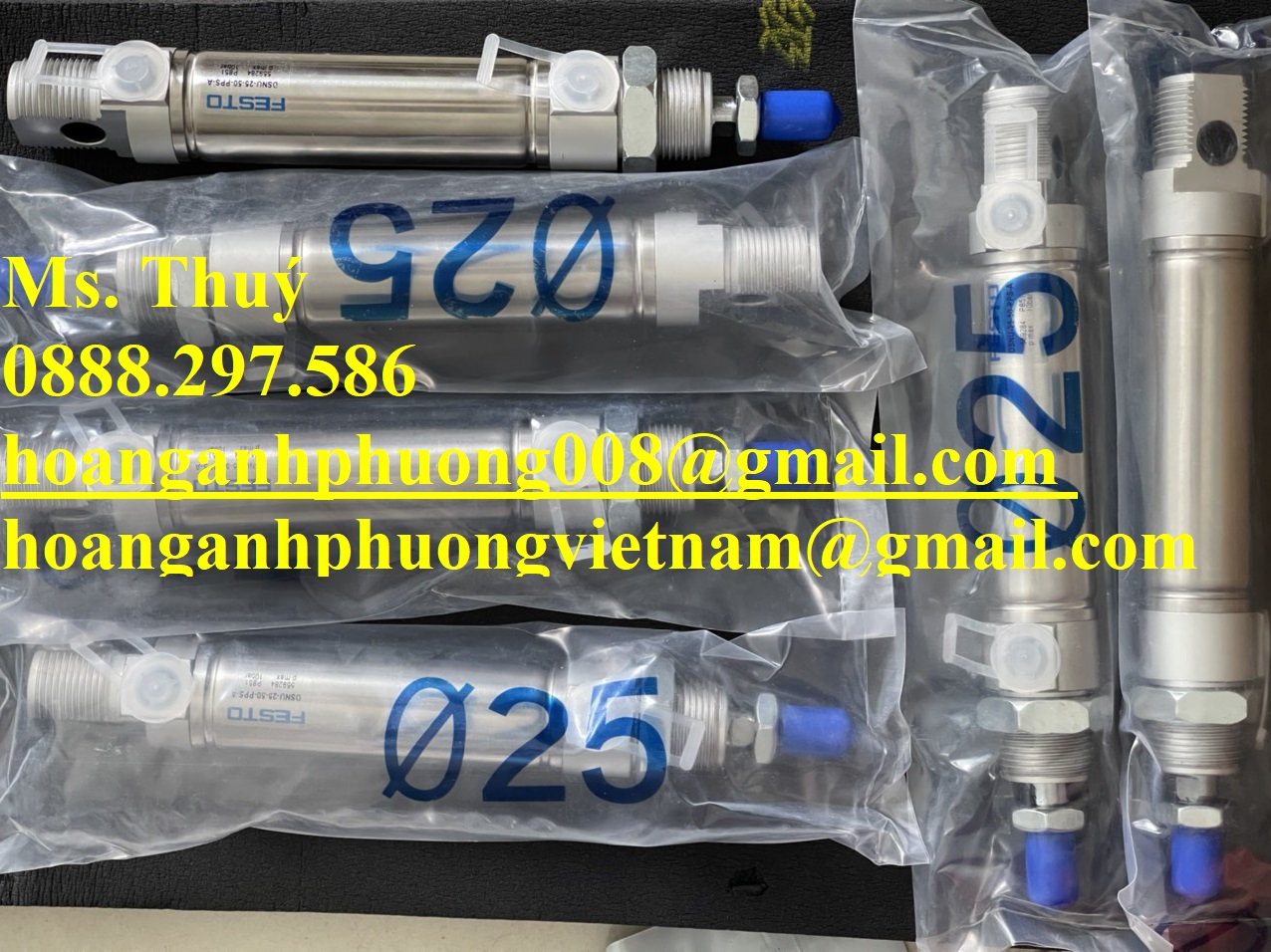 Chính hãng - Xi lanh Festo DSNU-25-50-PPS-A - Hoàng Anh Phương