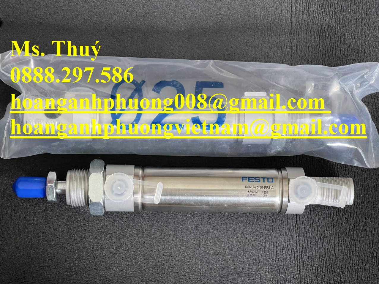 Chính hãng - Xi lanh Festo DSNU-25-50-PPS-A - Hoàng Anh Phương