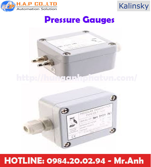 đồng hồ đo áp suất kailinsky elektronik tại việt nam