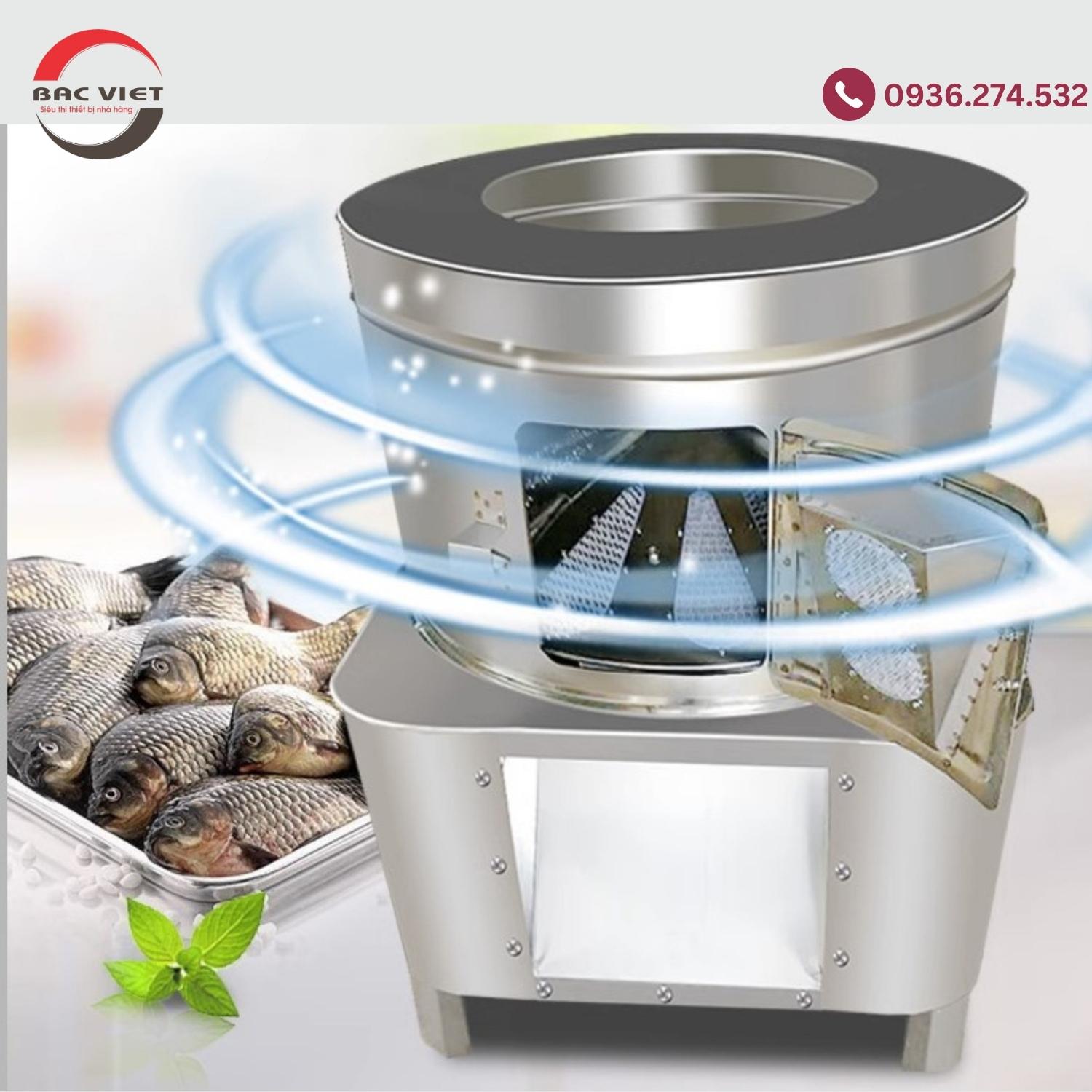 Máy đánh vảy cá tự động: Tiến bộ trong ngành chế biến hải sản