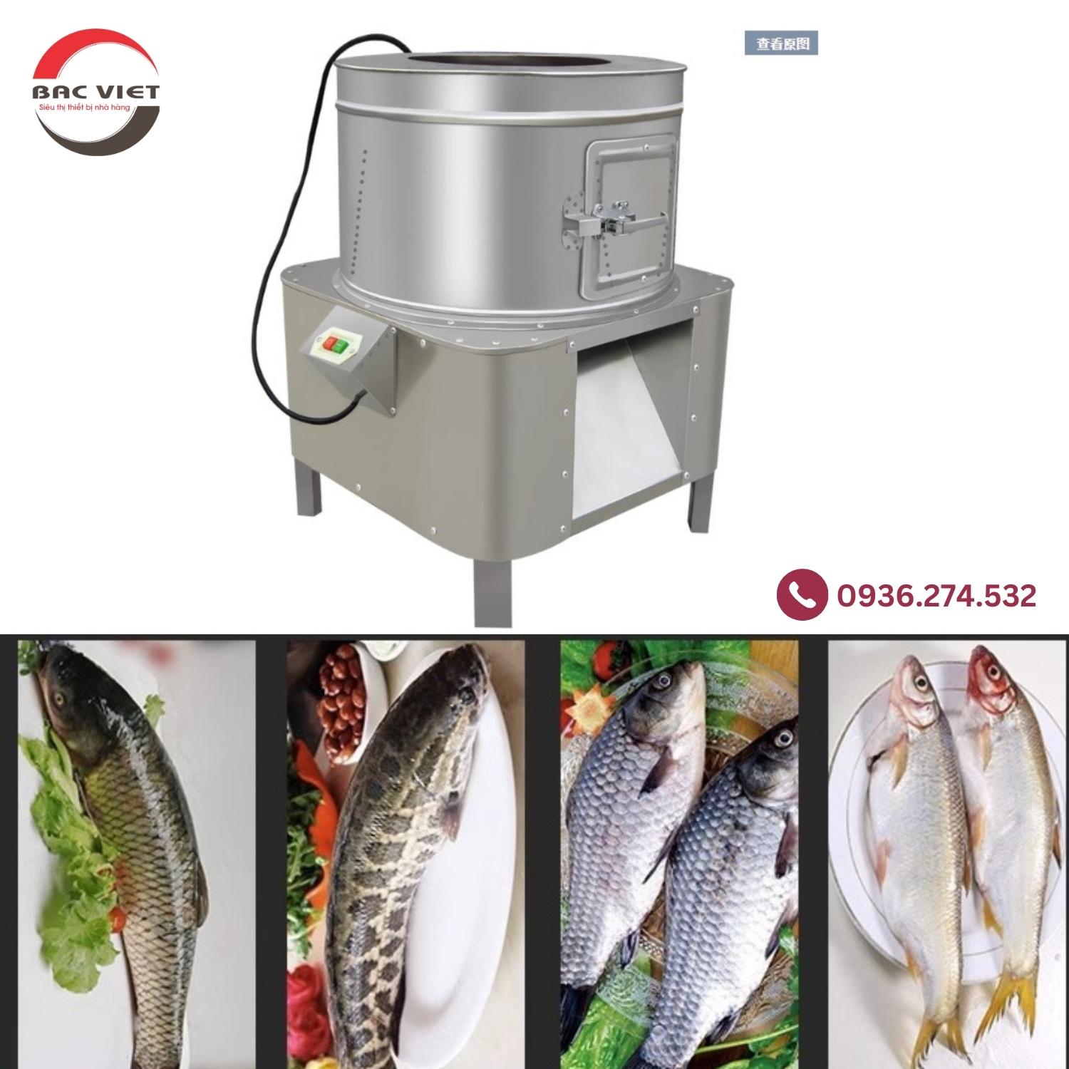 Máy đánh vảy cá tự động: Tiến bộ trong ngành chế biến hải sản
