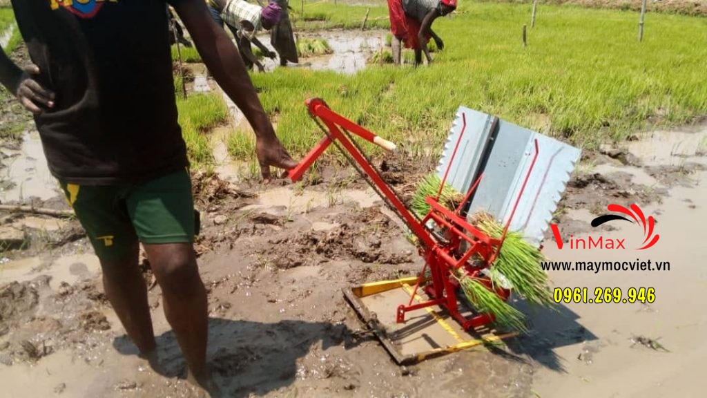Máy cấy lúa mạ nhổ 2 hàng dắt tay năng suất cao