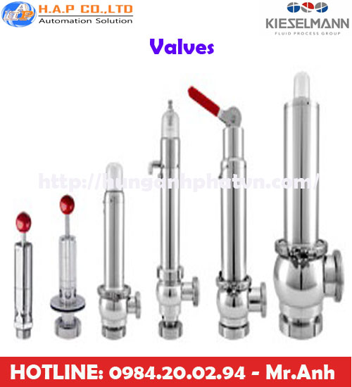 van bướm Kieselmann tại việt nam, van Kieselmann
