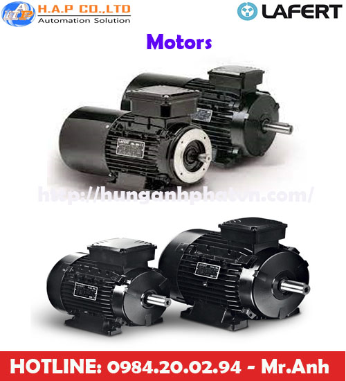 động cơ điện Lafert tại việt nam, Lafert việt nam