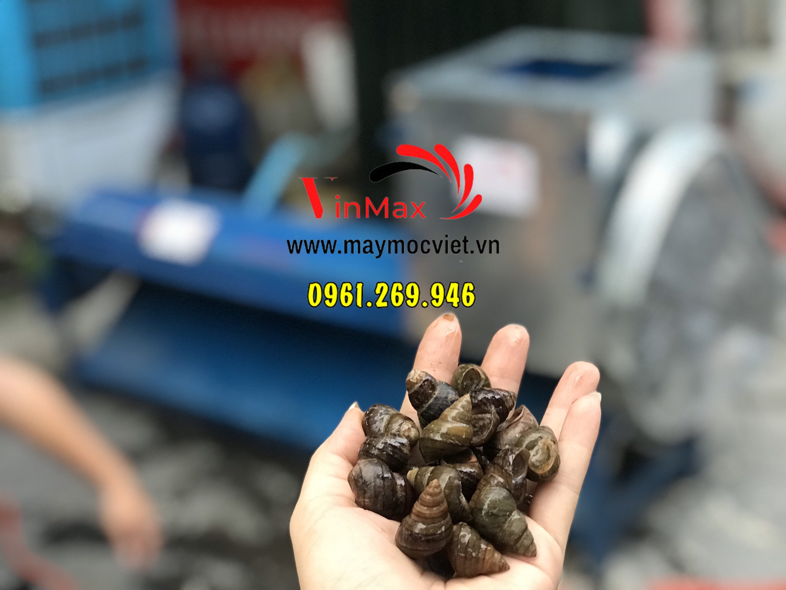 Máy tách vỏ ruột ốc Vinmax VMTV1000 năng suất cao 1 tấn/ giờ