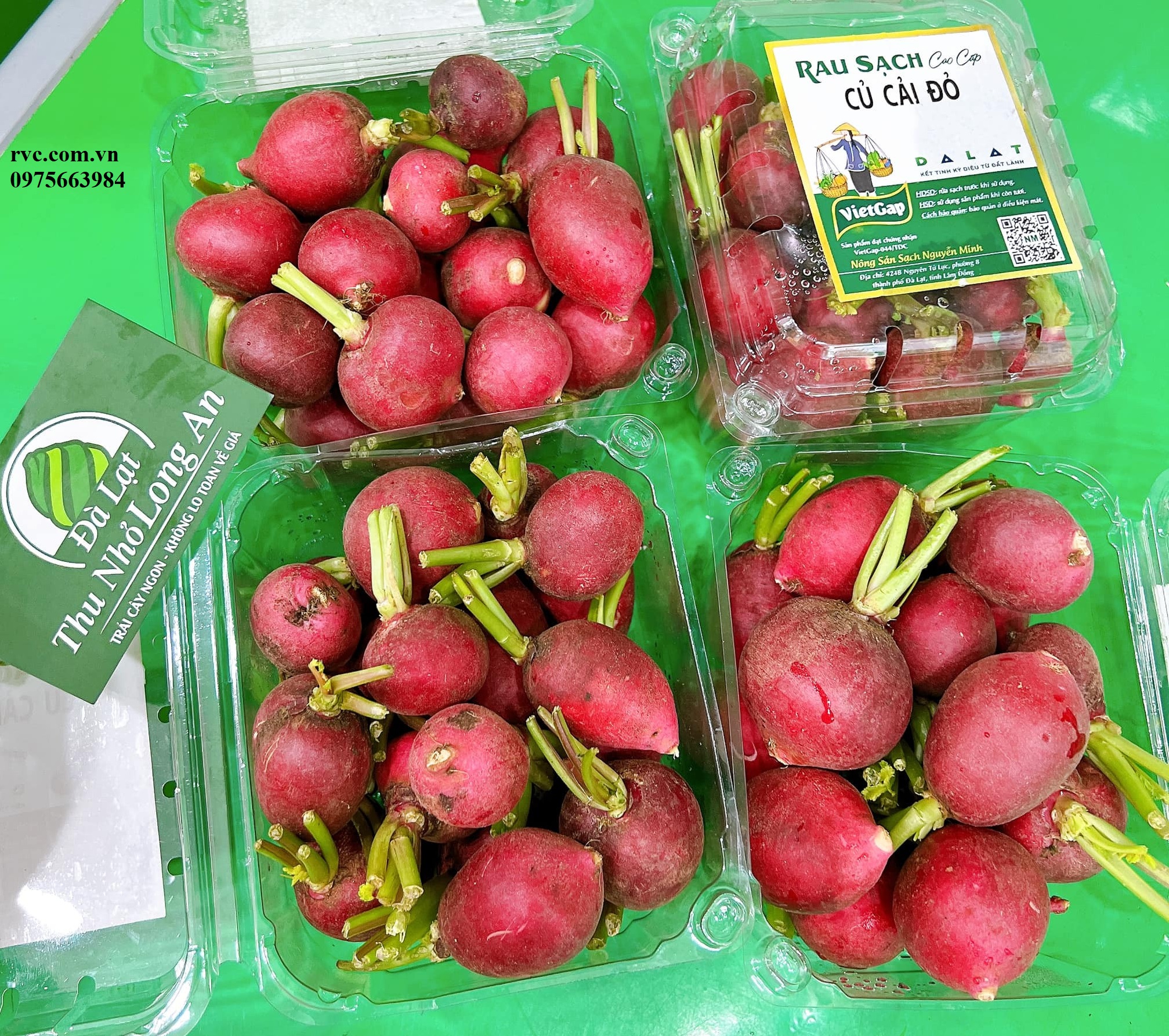 Gợi ý mẫu hộp nhựa trái cây 500g P500D chất lượng trên thị trường.