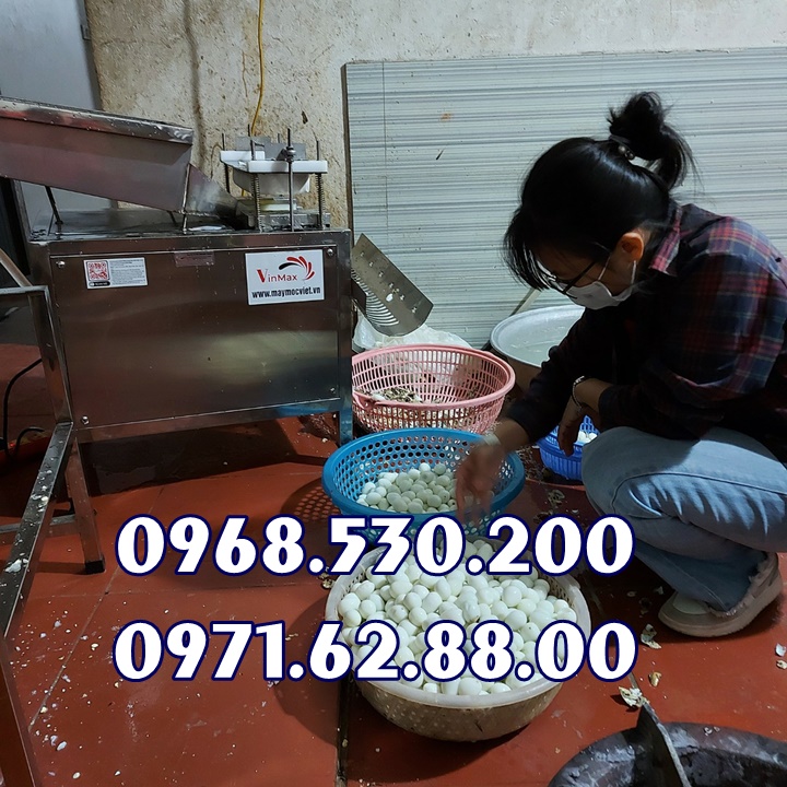 Nơi bán máy tách vỏ trứng cút giá rẻ hết nước chấm