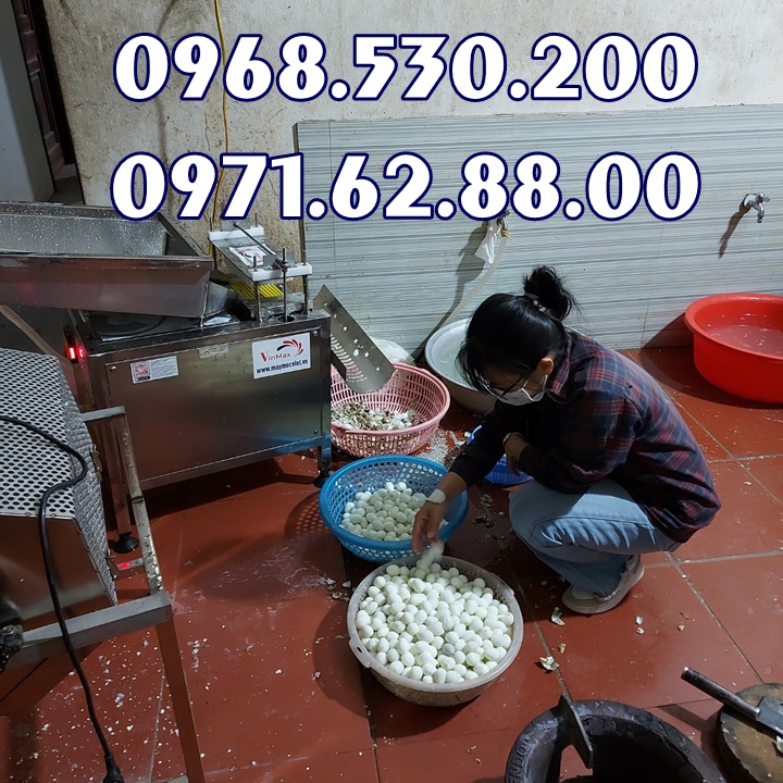 Nơi bán máy tách vỏ trứng cút giá rẻ hết nước chấm