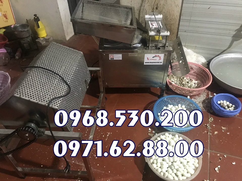 Nơi bán máy tách vỏ trứng cút giá rẻ hết nước chấm