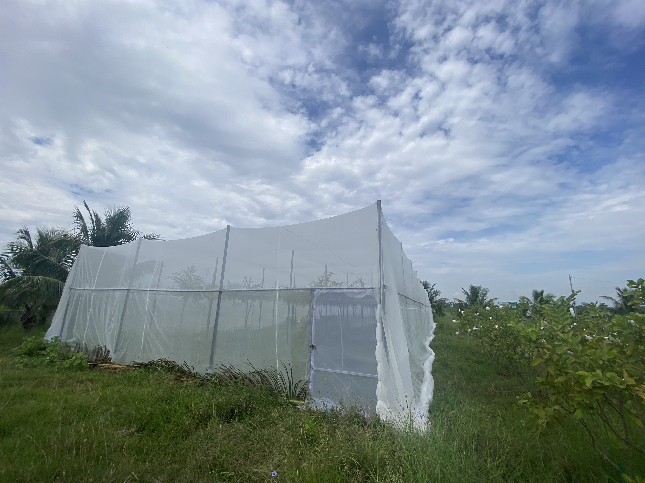 Lưới chắn côn trùng cho Farm - Vườn táo, nho trong nông nghiệp