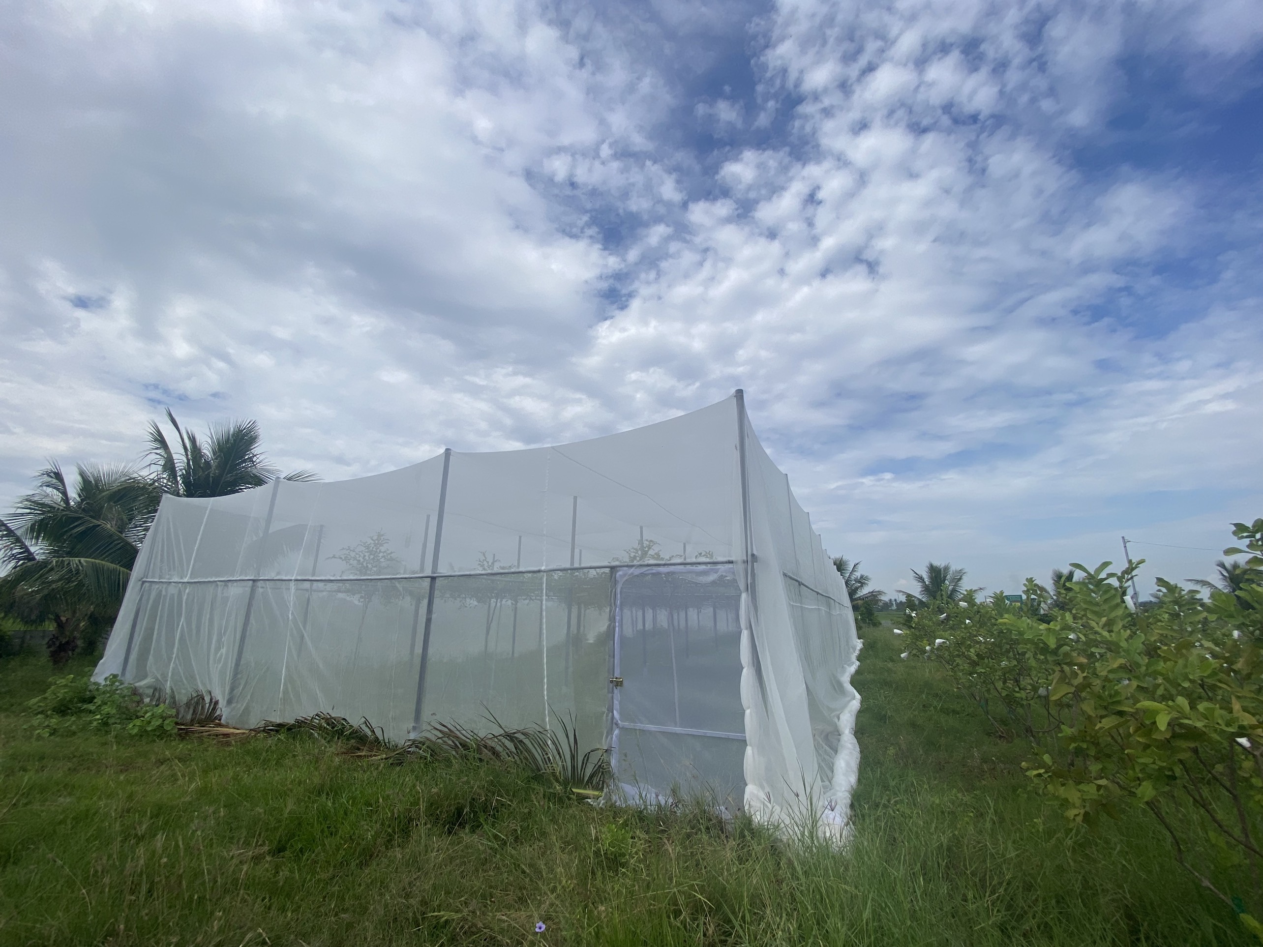 Lưới chắn côn trùng cho Farm - Vườn táo, nho trong nông nghiệp