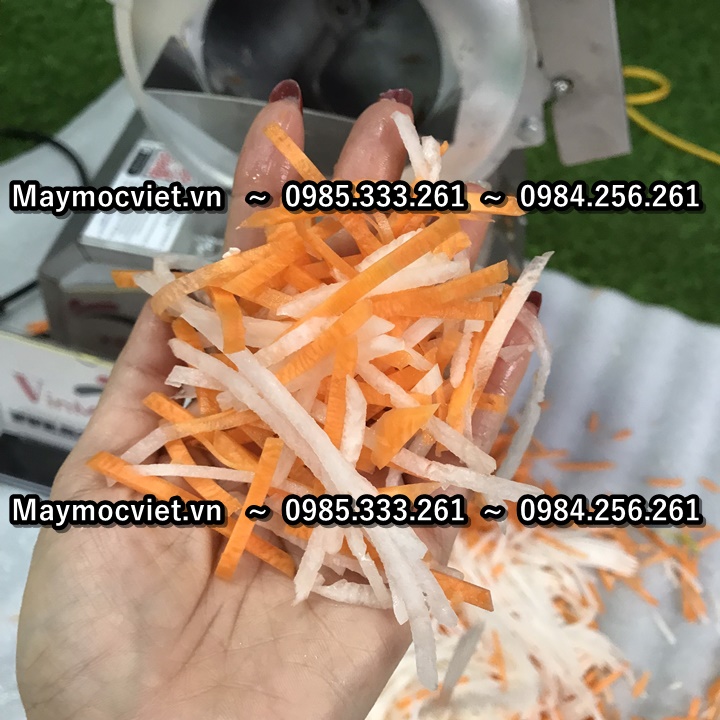 Máy thái lát, sợi cà rốt, măng, hành tây, khoai tây VMCQ1100