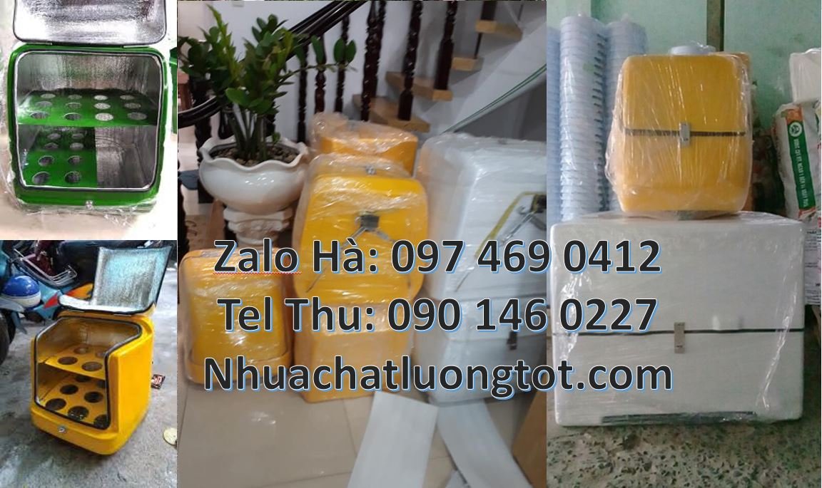 Bán thùng giao hàng đằng sau xe máy,thùng giao hàng tiết kiệm giá rẻ h