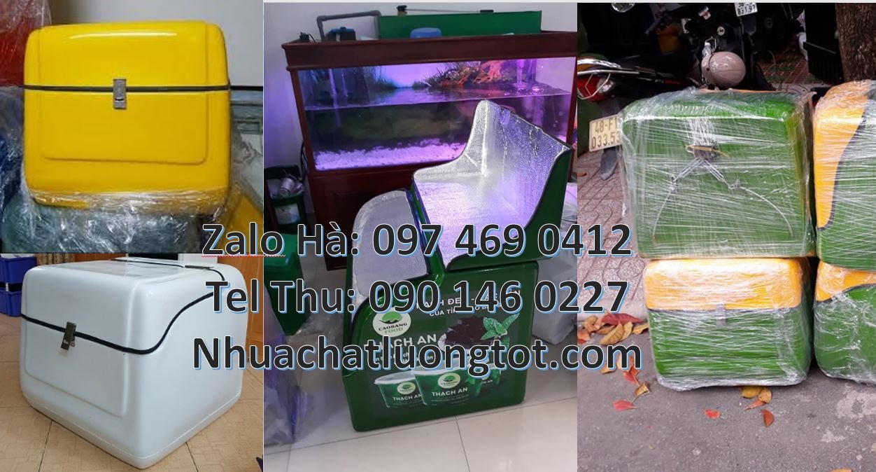 Bán thùng giao hàng đằng sau xe máy,thùng giao hàng tiết kiệm giá rẻ h