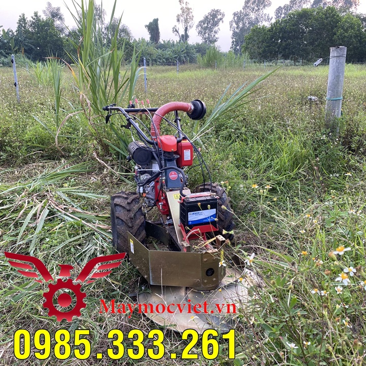 Máy cắt cỏ voi mâm xoay, dọn cỏ sân vườn trang trại động cơ Nhật BM91