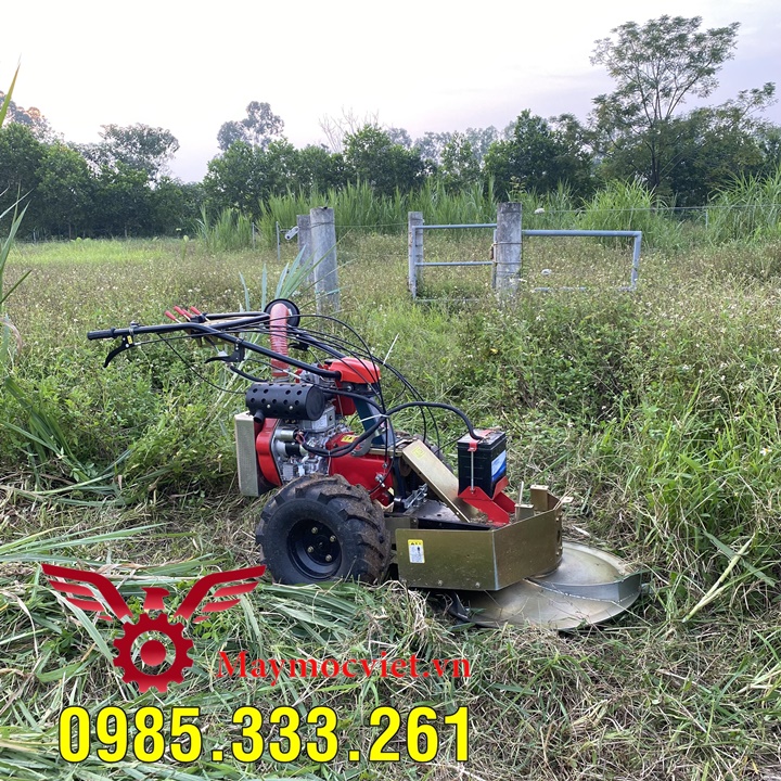 Máy cắt cỏ voi mâm xoay, dọn cỏ sân vườn trang trại động cơ Nhật BM91