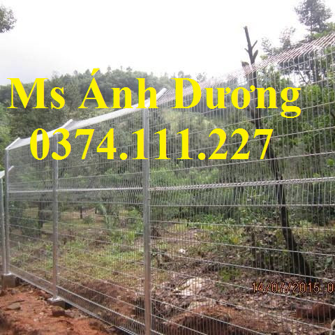 Lưới thép Hàng rào sơn tĩnh điên D5 mắt 50x 200