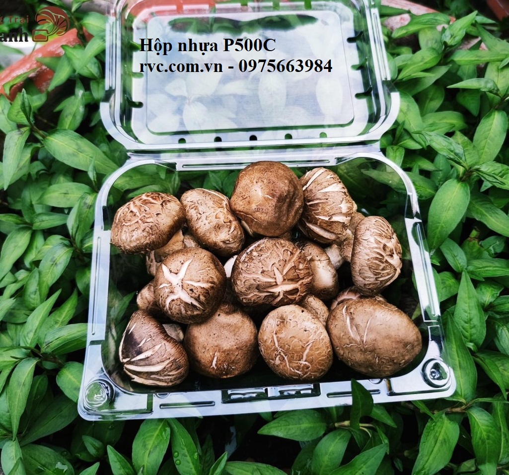 Hộp nhựa đựng trái cây 500g P500C phổ biến thị trường hiện nay.