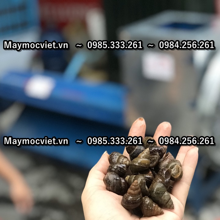 Máy tách vỏ ruột ốc Vinmax VMTV1000 bảo hành 12 tháng
