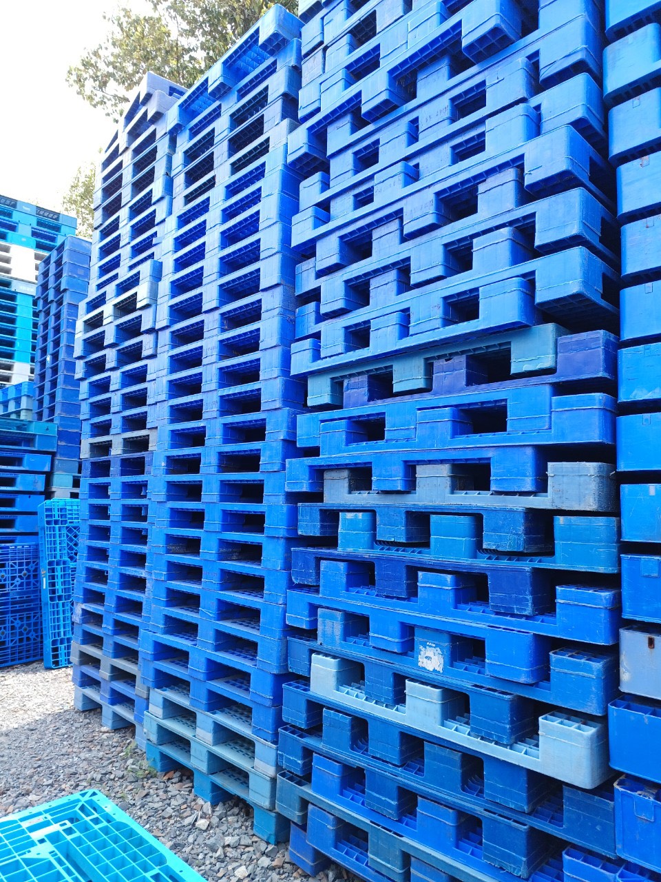 pallet nhựa tại Bình Phước uy tín chất lượng nhất hiện nay