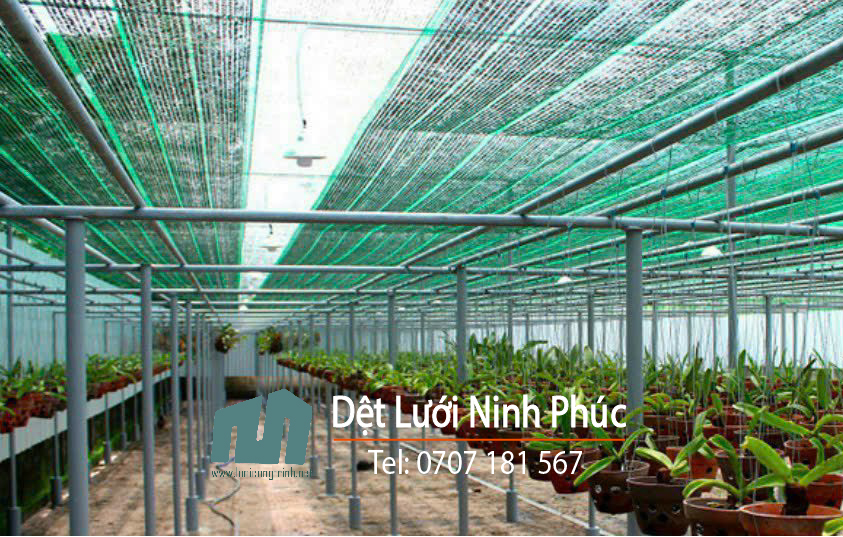 Lưới Lan - Lưới che nắng sợi dẹt độ bền trên 3 năm