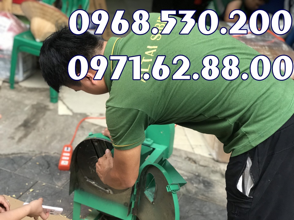 Máy thái thuốc nam thái thuốc bắc chính hãng giá rẻ