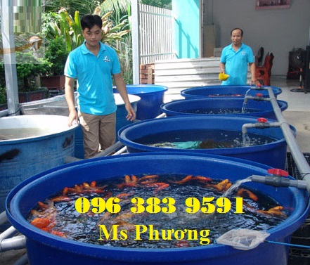 Chuyên cung cấp thùng nhựa nuôi cá, bể bơi 0963839591