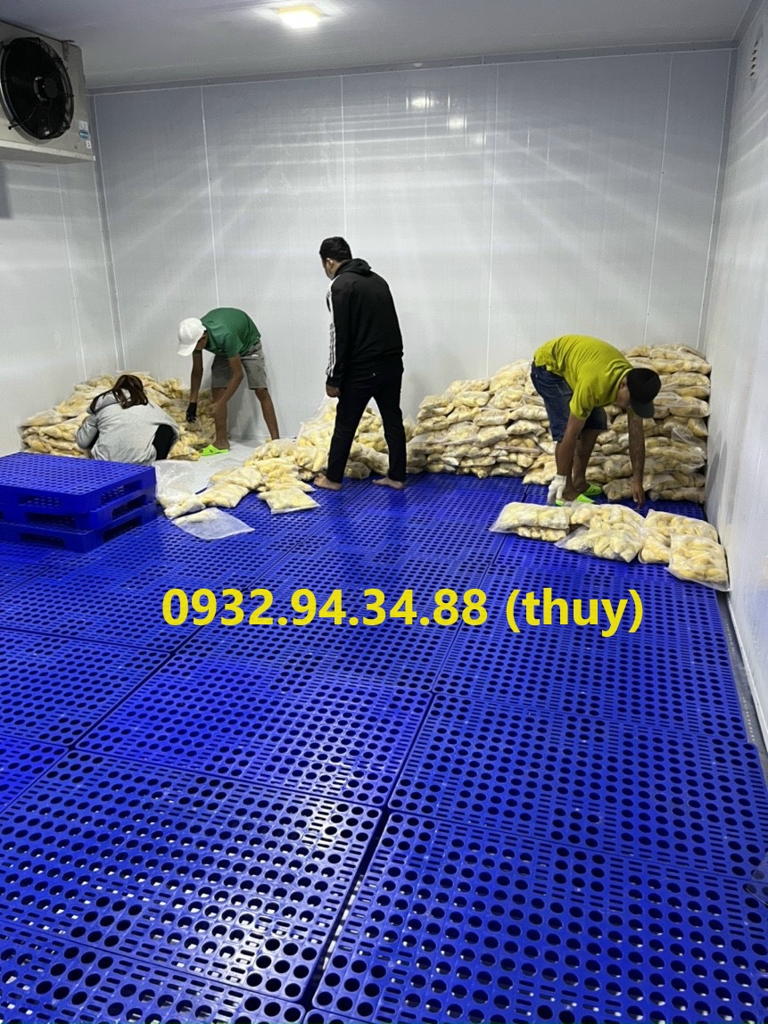Mua pallet nhựa tại Bà Rịa- Vũng Tàu (BRVT)